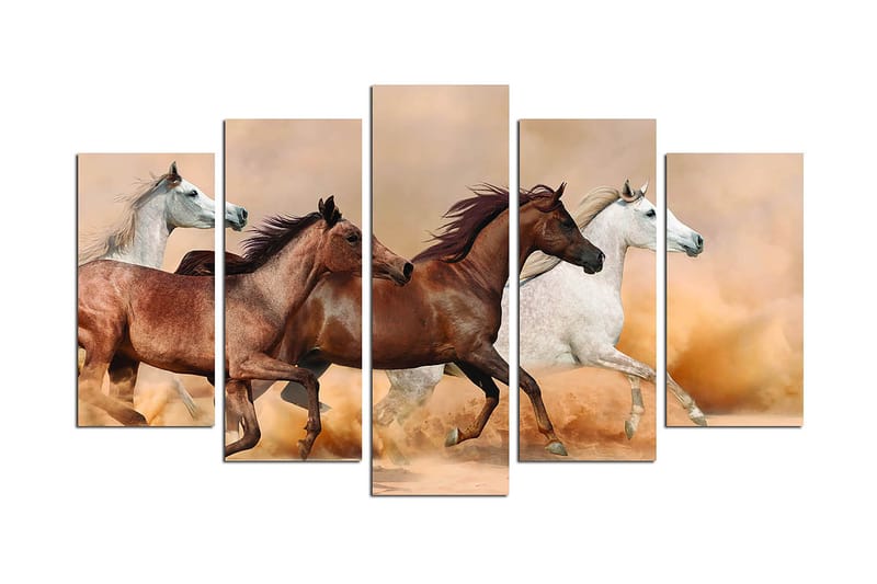 Canvasbilde Animals 5-pk Flerfarget - 22x06 cm - Innredning - Bilder & kunst - Lerretsbilder