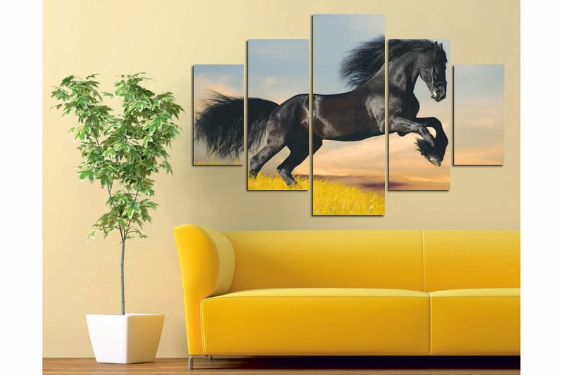 Canvasbilde Animals 5-pk Flerfarget - 55x62 cm - Innredning - Bilder & kunst - Lerretsbilder