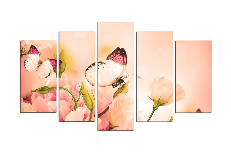 Canvasbilde Animals Butterfly 5-pk Flerfarget - 22x06 cm - Innredning - Bilder & kunst - Lerretsbilder