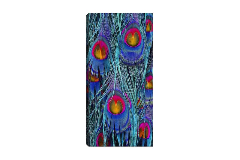 Canvasbilde DKY Abstract & Fractals Flerfarget - 50x120 cm - Innredning - Bilder & kunst - Lerretsbilder