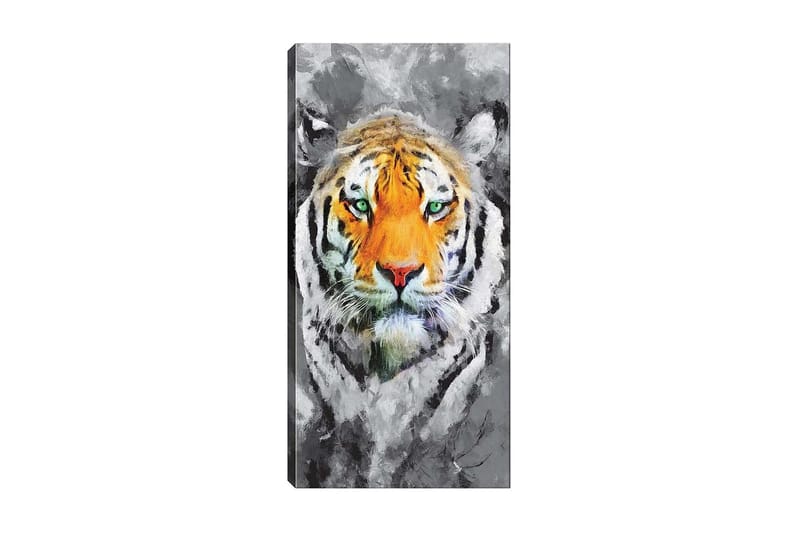 Canvasbilde DKY Animals Flerfarget - 50x120 cm - Innredning - Bilder & kunst - Lerretsbilder