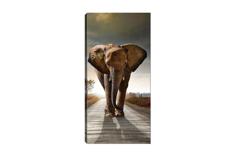Canvasbilde DKY Animals Flerfarget - 50x120 cm - Innredning - Bilder & kunst - Lerretsbilder