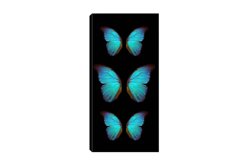 Canvasbilde DKY Animals Flerfarget - 50x120 cm - Innredning - Bilder & kunst - Lerretsbilder