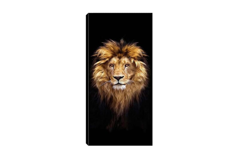 Canvasbilde DKY Animals Flerfarget - 50x120 cm - Innredning - Bilder & kunst - Lerretsbilder