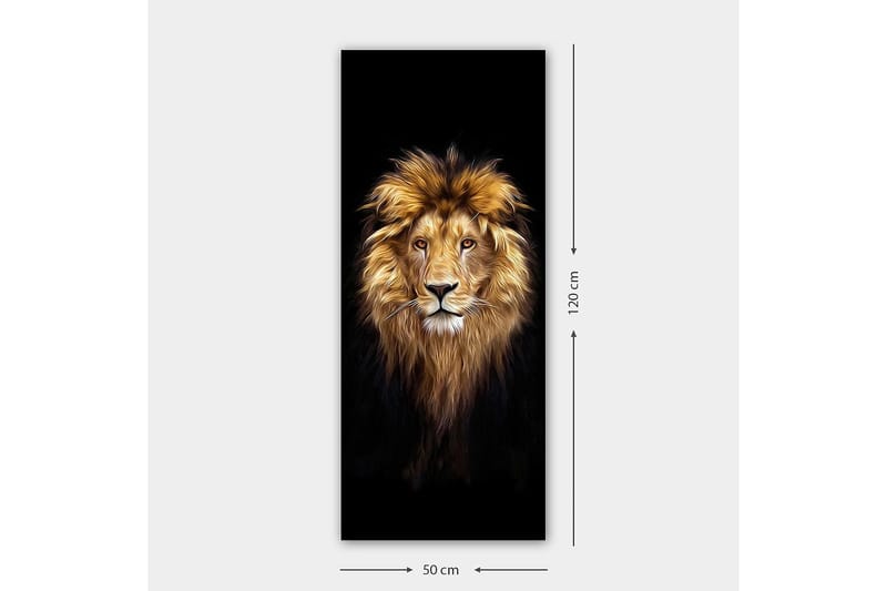 Canvasbilde DKY Animals Flerfarget - 50x120 cm - Innredning - Bilder & kunst - Lerretsbilder