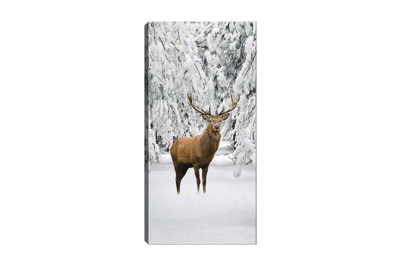 Canvasbilde DKY Animals Flerfarget - 50x120 cm - Innredning - Bilder & kunst - Lerretsbilder