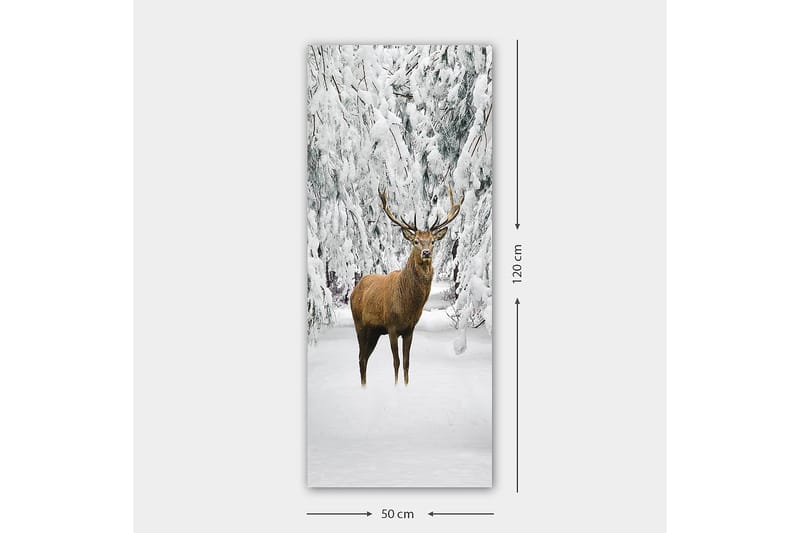 Canvasbilde DKY Animals Flerfarget - 50x120 cm - Innredning - Bilder & kunst - Lerretsbilder