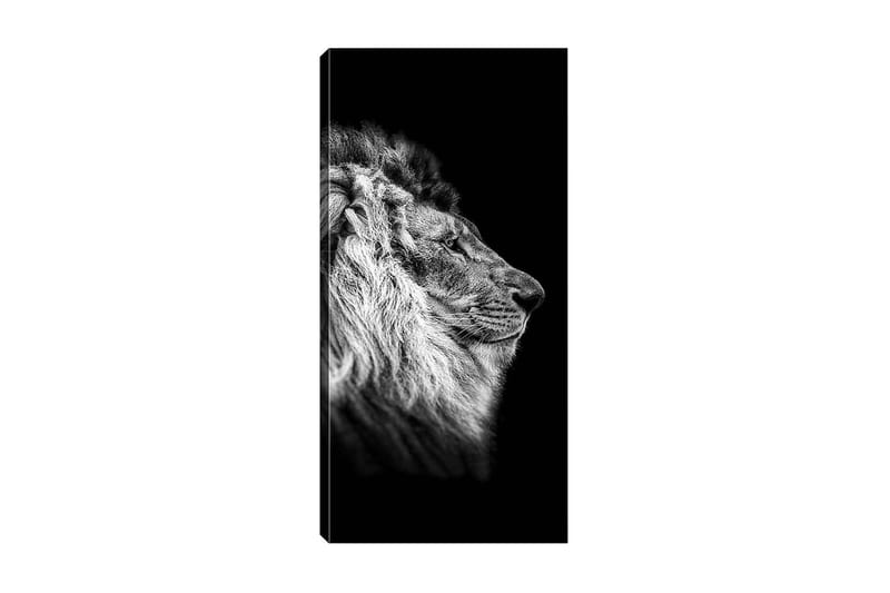 Canvasbilde DKY Animals Flerfarget - 50x120 cm - Innredning - Bilder & kunst - Lerretsbilder