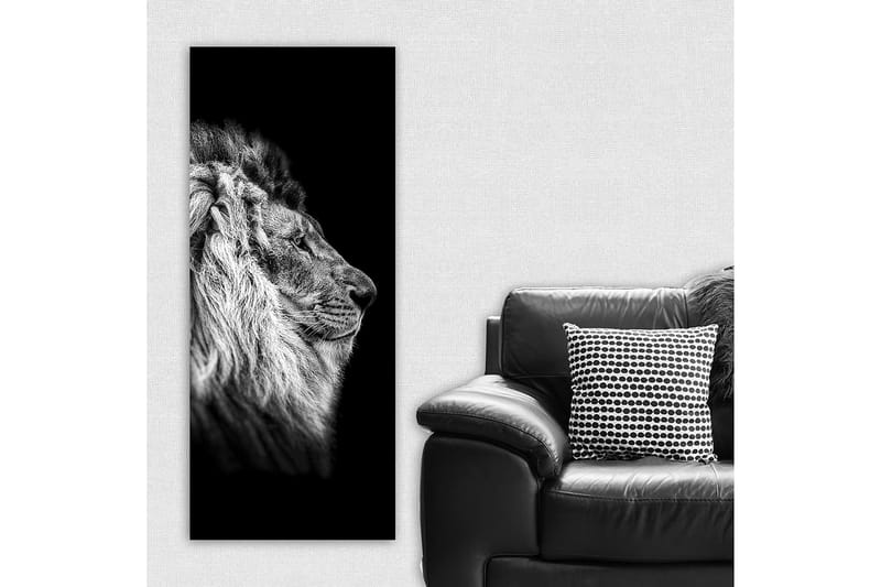 Canvasbilde DKY Animals Flerfarget - 50x120 cm - Innredning - Bilder & kunst - Lerretsbilder
