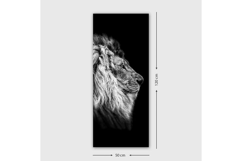 Canvasbilde DKY Animals Flerfarget - 50x120 cm - Innredning - Bilder & kunst - Lerretsbilder