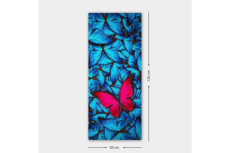 Canvasbilde DKY Animals Flerfarget - 50x120 cm - Innredning - Bilder & kunst - Lerretsbilder