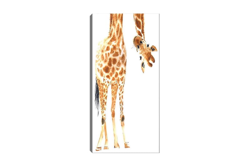 Canvasbilde DKY Animals Flerfarget - 50x120 cm - Innredning - Bilder & kunst - Lerretsbilder