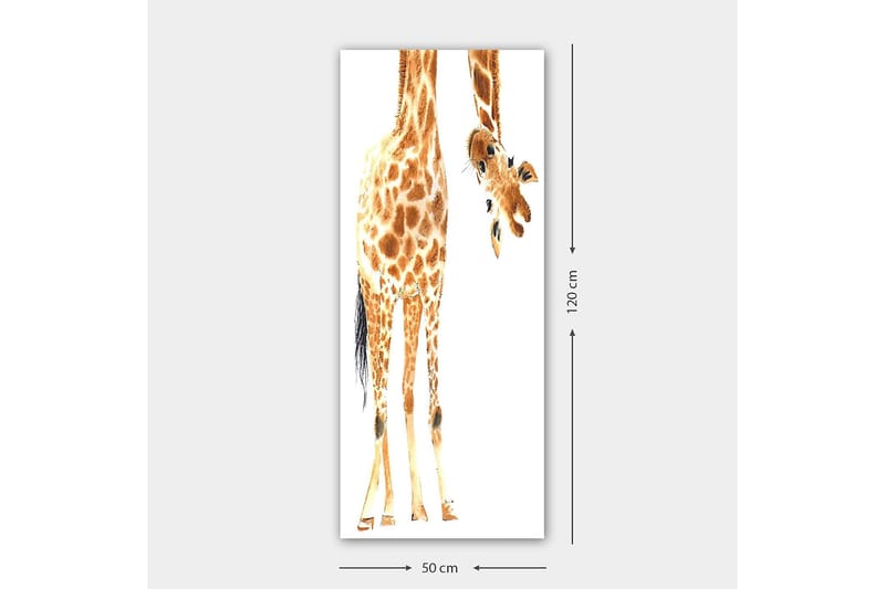 Canvasbilde DKY Animals Flerfarget - 50x120 cm - Innredning - Bilder & kunst - Lerretsbilder