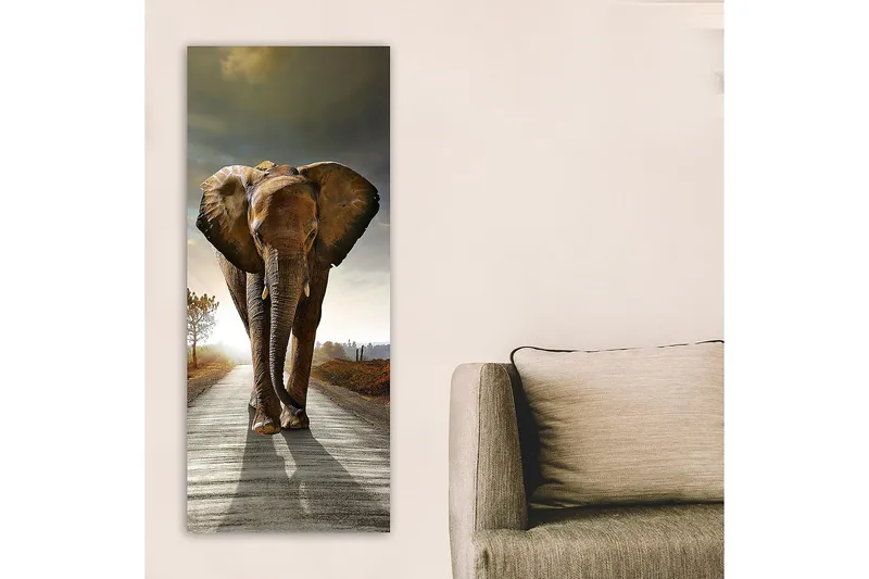 Canvasbilde DKY Animals Flerfarget - 50x120 cm - Innredning - Bilder & kunst - Lerretsbilder