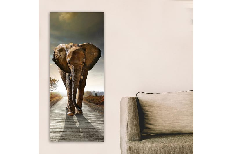 Canvasbilde DKY Animals Flerfarget - 50x120 cm - Innredning - Bilder & kunst - Lerretsbilder