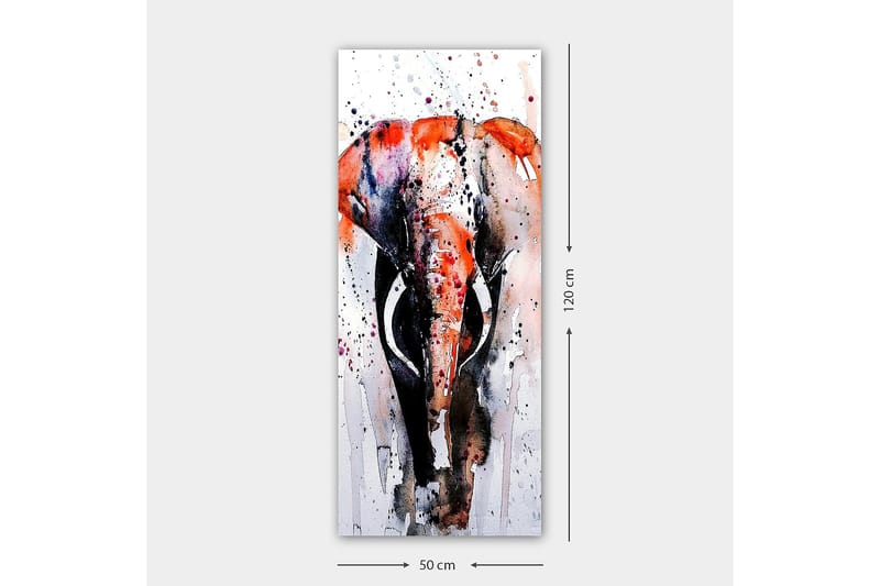 Canvasbilde DKY Animals Flerfarget - 50x120 cm - Innredning - Bilder & kunst - Lerretsbilder