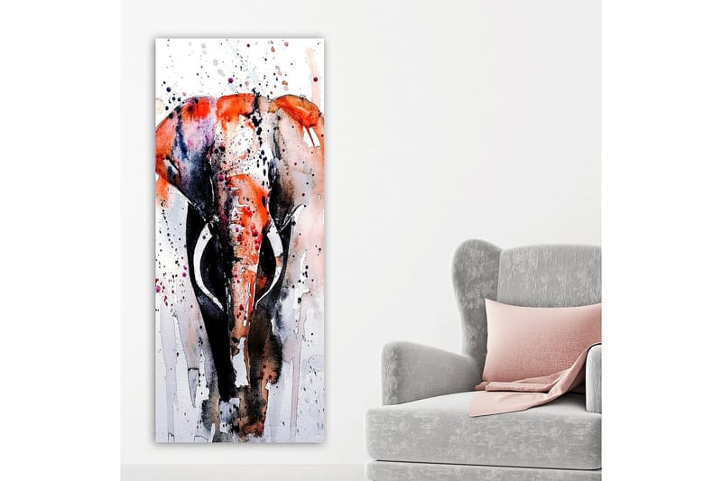 Canvasbilde DKY Animals Flerfarget - 50x120 cm - Innredning - Bilder & kunst - Lerretsbilder