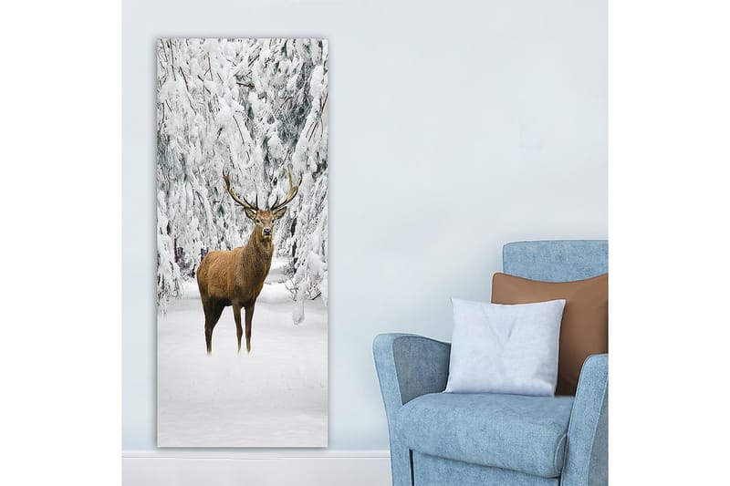 Canvasbilde DKY Animals Flerfarget - 50x120 cm - Innredning - Bilder & kunst - Lerretsbilder