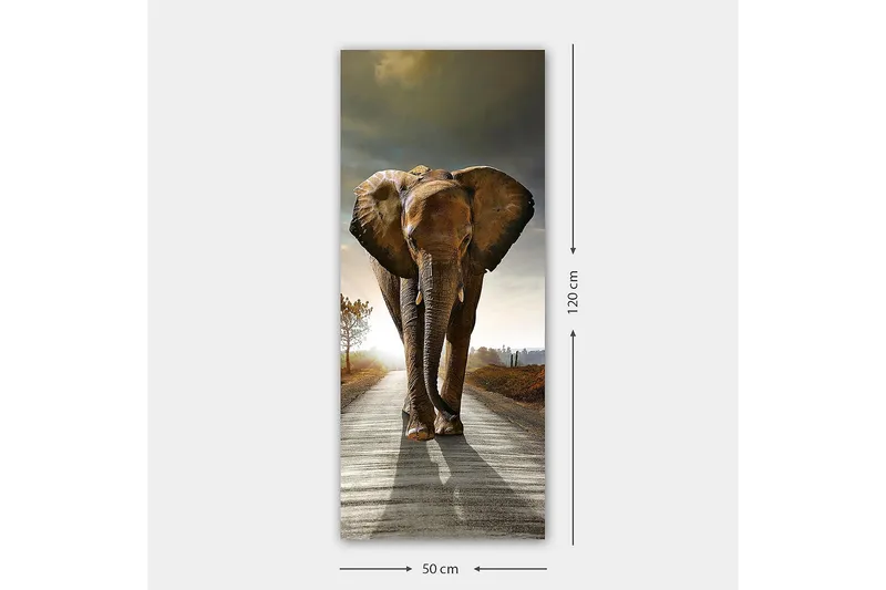 Canvasbilde DKY Animals Flerfarget - 50x120 cm - Innredning - Bilder & kunst - Lerretsbilder