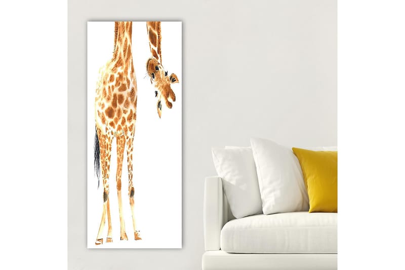 Canvasbilde DKY Animals Flerfarget - 50x120 cm - Innredning - Bilder & kunst - Lerretsbilder