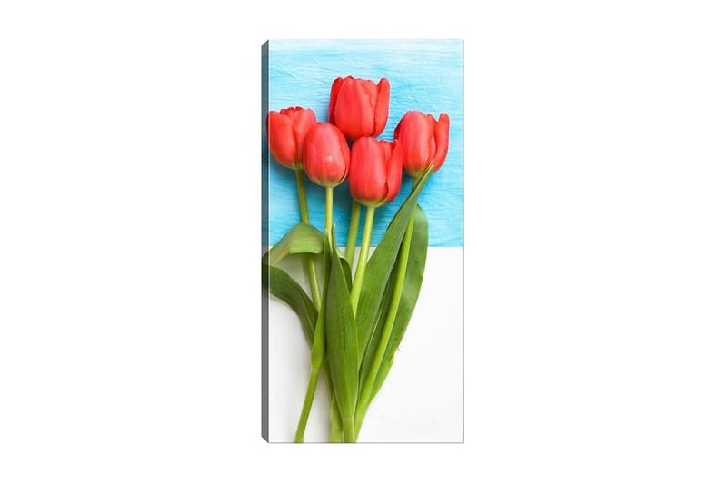 Canvasbilde DKY Floral & Botanical Flerfarget - 50x120 cm - Innredning - Bilder & kunst - Lerretsbilder
