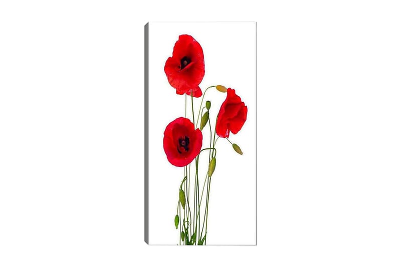Canvasbilde DKY Floral & Botanical Flerfarget - 50x120 cm - Innredning - Bilder & kunst - Lerretsbilder