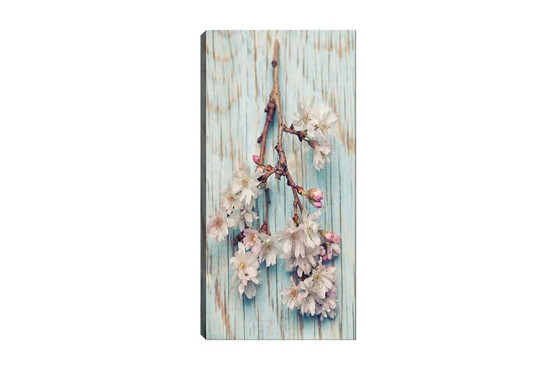 Canvasbilde DKY Floral & Botanical Flerfarget - 50x120 cm - Innredning - Bilder & kunst - Lerretsbilder