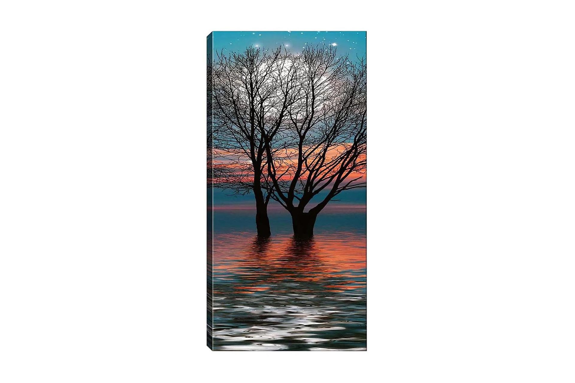 Canvasbilde DKY Floral & Botanical Flerfarget - 50x120 cm - Innredning - Bilder & kunst - Lerretsbilder