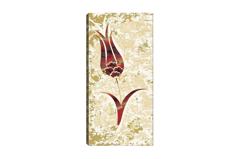 Canvasbilde DKY Floral & Botanical Flerfarget - 50x120 cm - Innredning - Bilder & kunst - Lerretsbilder