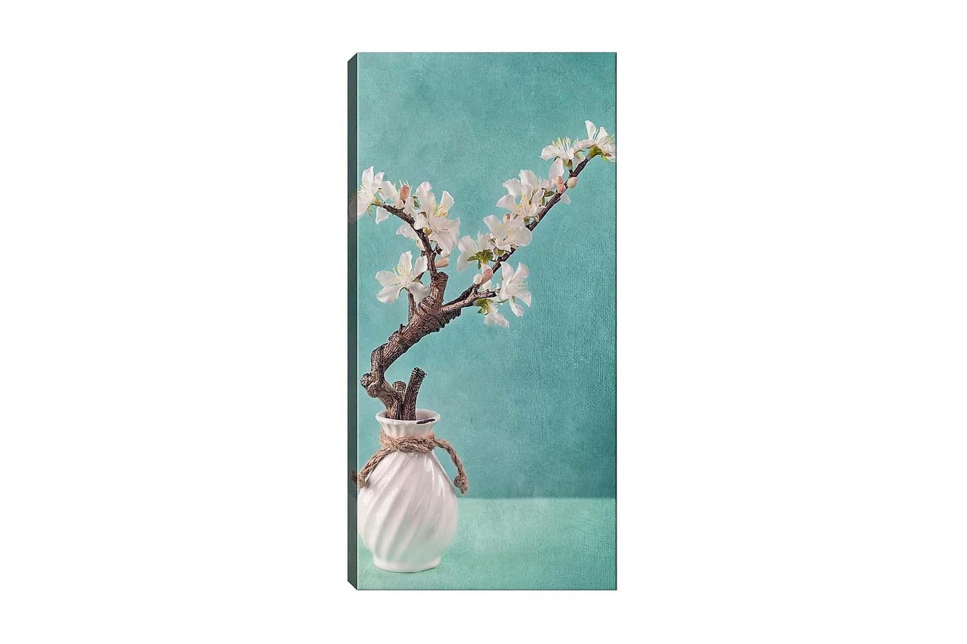 Canvasbilde DKY Floral & Botanical Flerfarget - 50x120 cm - Innredning - Bilder & kunst - Lerretsbilder