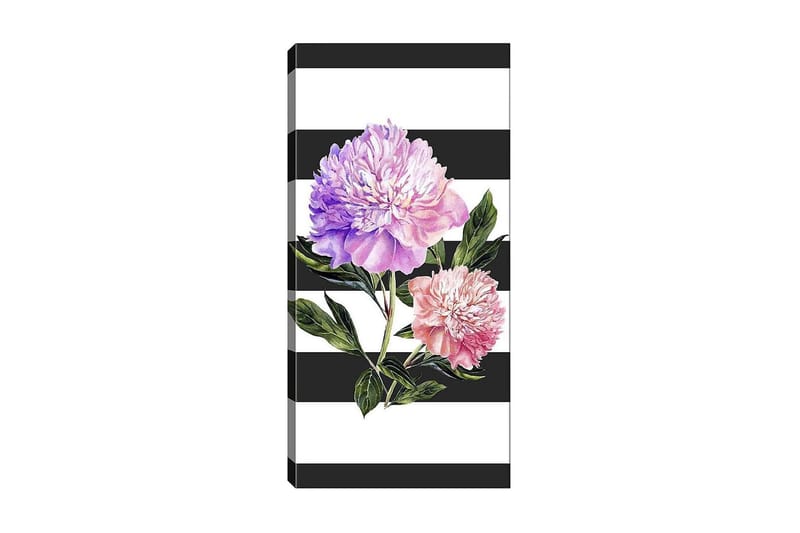 Canvasbilde DKY Floral & Botanical Flerfarget - 50x120 cm - Innredning - Bilder & kunst - Lerretsbilder