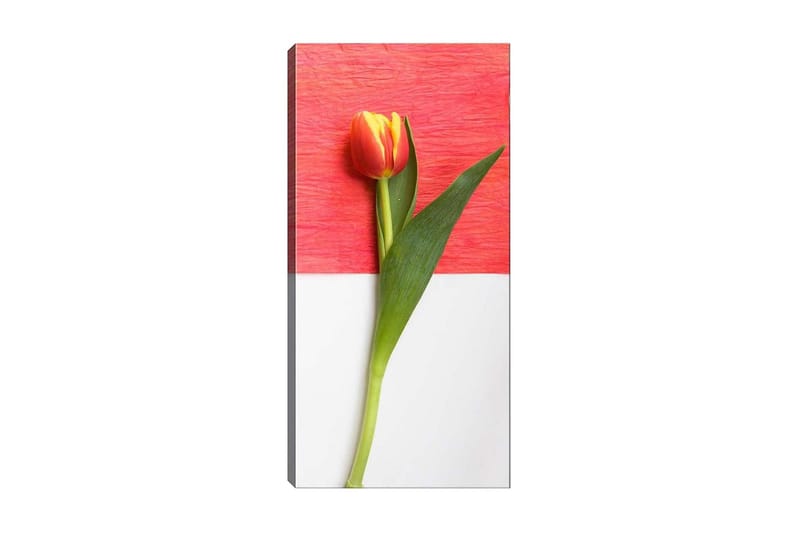 Canvasbilde DKY Floral & Botanical Flerfarget - 50x120 cm - Innredning - Bilder & kunst - Lerretsbilder