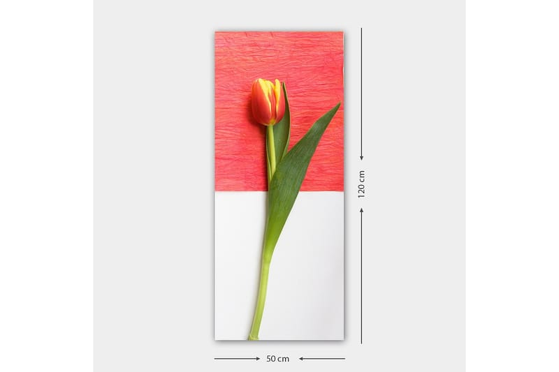 Canvasbilde DKY Floral & Botanical Flerfarget - 50x120 cm - Innredning - Bilder & kunst - Lerretsbilder