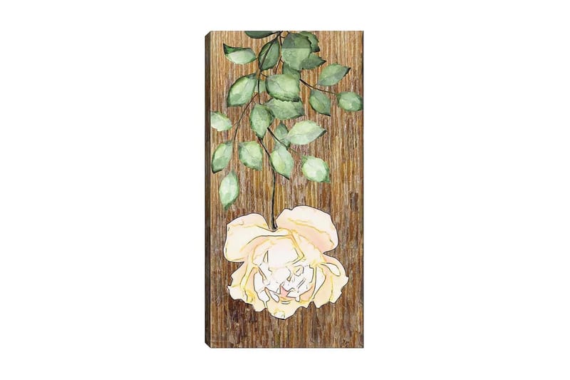 Canvasbilde DKY Floral & Botanical Flerfarget - 50x120 cm - Innredning - Bilder & kunst - Lerretsbilder