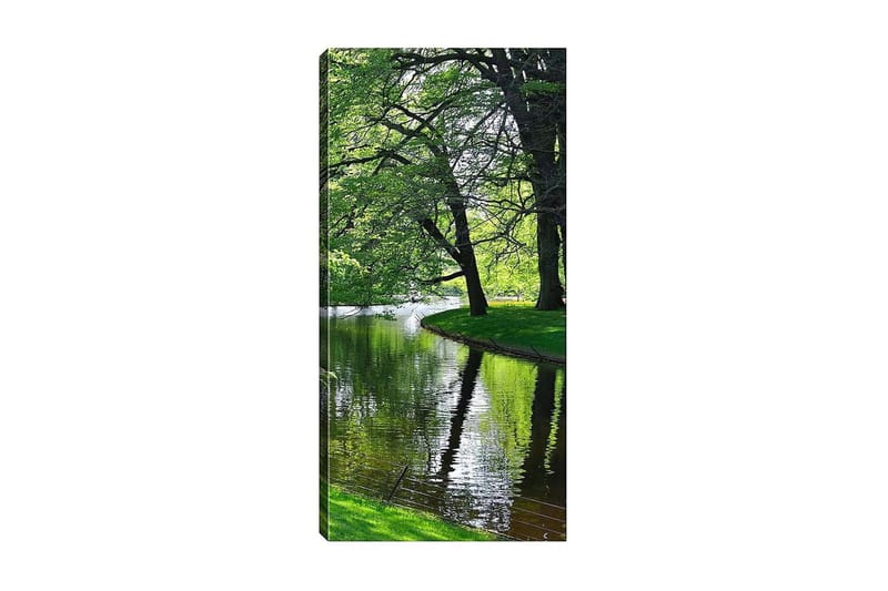 Canvasbilde DKY Floral & Botanical Flerfarget - 50x120 cm - Innredning - Bilder & kunst - Lerretsbilder