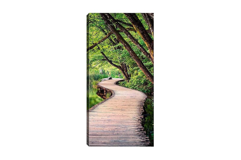 Canvasbilde DKY Floral & Botanical Flerfarget - 50x120 cm - Innredning - Bilder & kunst - Lerretsbilder