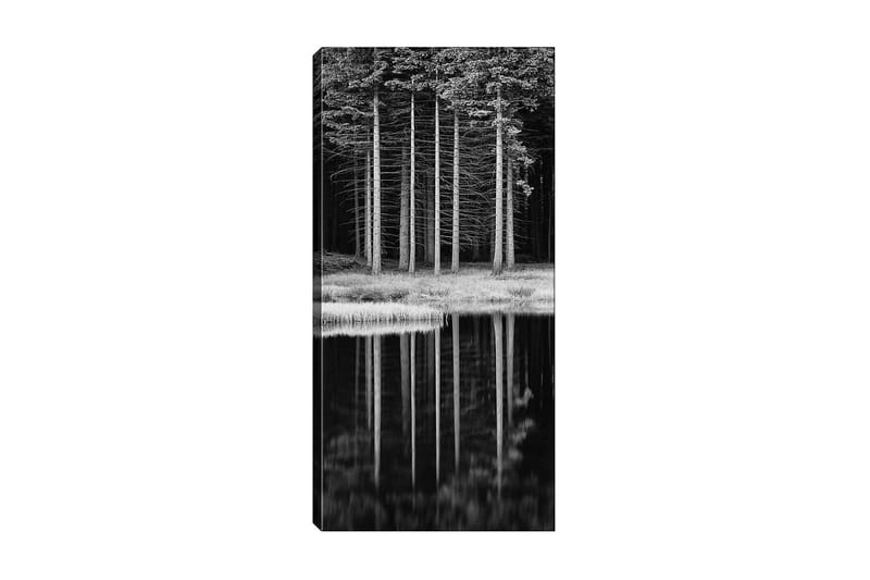 Canvasbilde DKY Floral & Botanical Flerfarget - 50x120 cm - Innredning - Bilder & kunst - Lerretsbilder