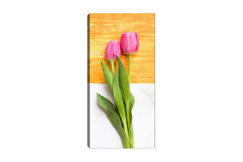 Canvasbilde DKY Floral & Botanical Flerfarget - 50x120 cm - Innredning - Bilder & kunst - Lerretsbilder