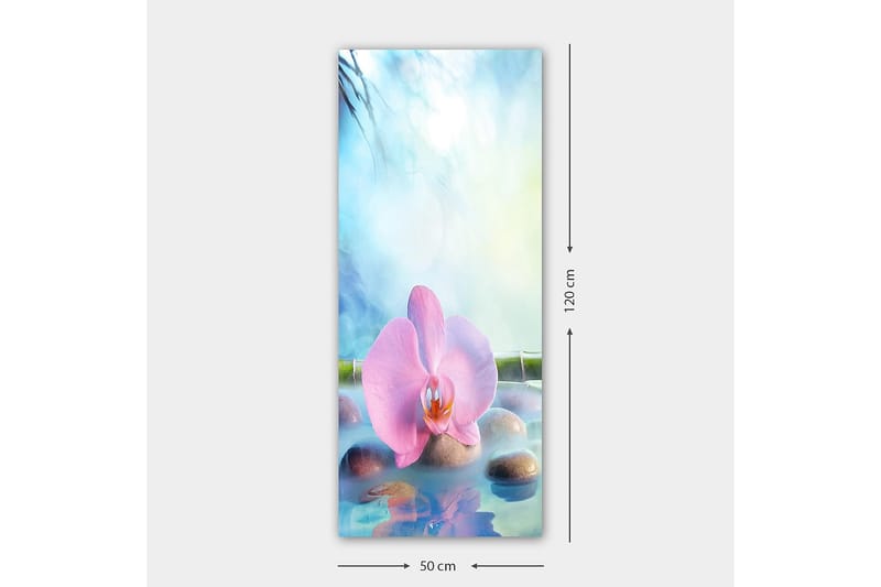 Canvasbilde DKY Floral & Botanical Flerfarget - 50x120 cm - Innredning - Bilder & kunst - Lerretsbilder