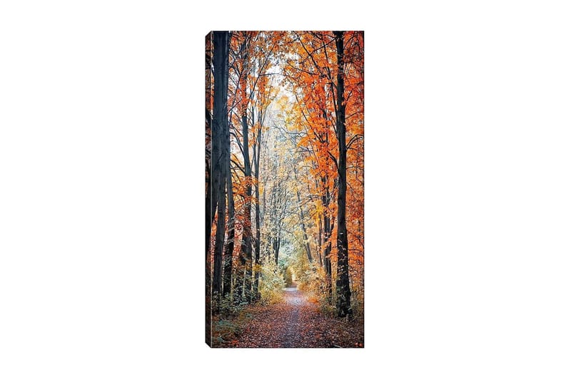 Canvasbilde DKY Floral & Botanical Flerfarget - 50x120 cm - Innredning - Bilder & kunst - Lerretsbilder
