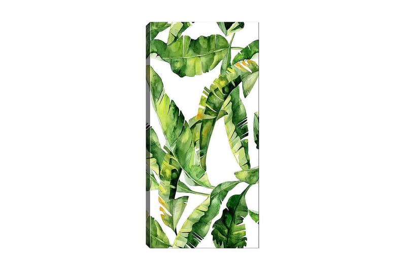 Canvasbilde DKY Floral & Botanical Flerfarget - 50x120 cm - Innredning - Bilder & kunst - Lerretsbilder