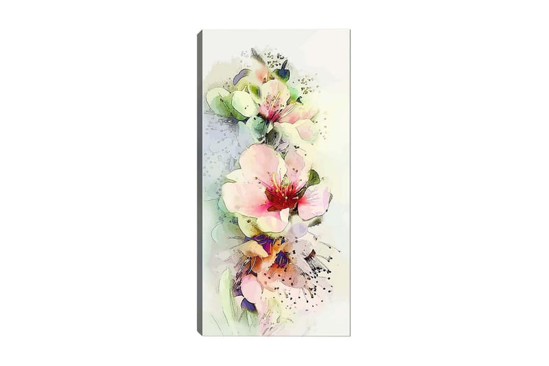 Canvasbilde DKY Floral & Botanical Flerfarget, 50x120 cm
