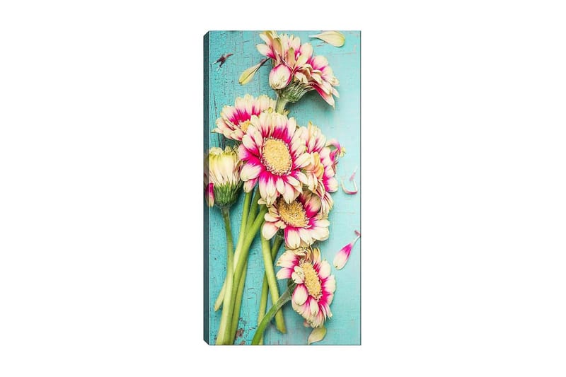 Canvasbilde DKY Floral & Botanical Flerfarget, 50x120 cm