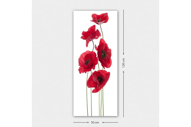 Canvasbilde DKY Floral & Botanical Flerfarget - 50x120 cm - Innredning - Bilder & kunst - Lerretsbilder