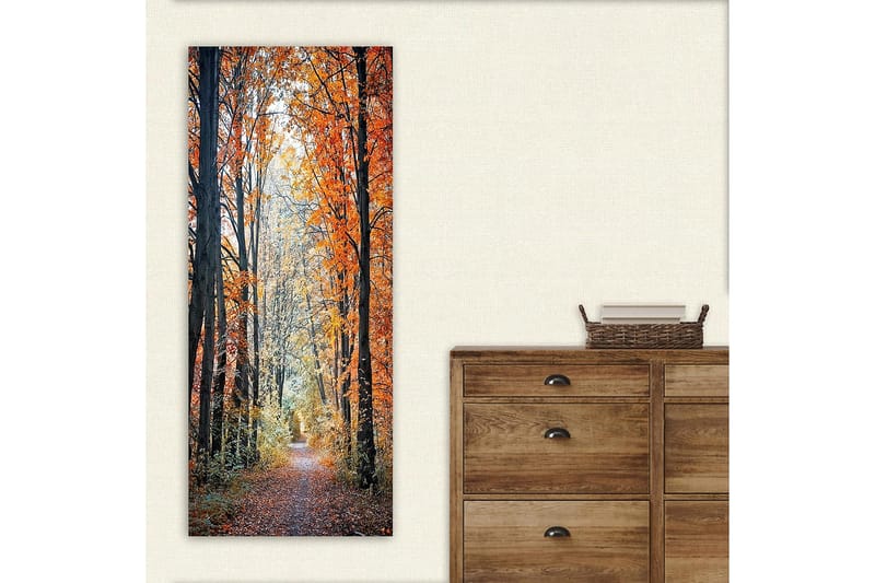Canvasbilde DKY Floral & Botanical Flerfarget - 50x120 cm - Innredning - Bilder & kunst - Lerretsbilder