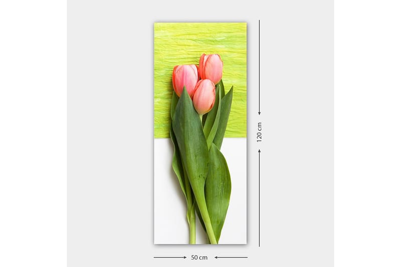 Canvasbilde DKY Floral & Botanical Flerfarget - 50x120 cm - Innredning - Bilder & kunst - Lerretsbilder