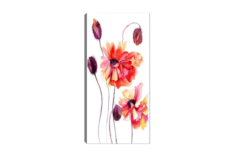 Canvasbilde DKY Floral & Botanical Flerfarget, 50x120 cm