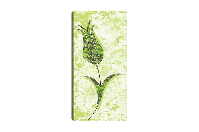 Canvasbilde DKY Floral & Botanical Flerfarget - 50x120 cm - Innredning - Bilder & kunst - Lerretsbilder