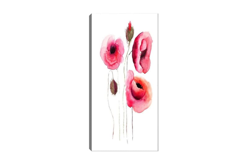 Canvasbilde DKY Floral & Botanical Flerfarget, 50x120 cm