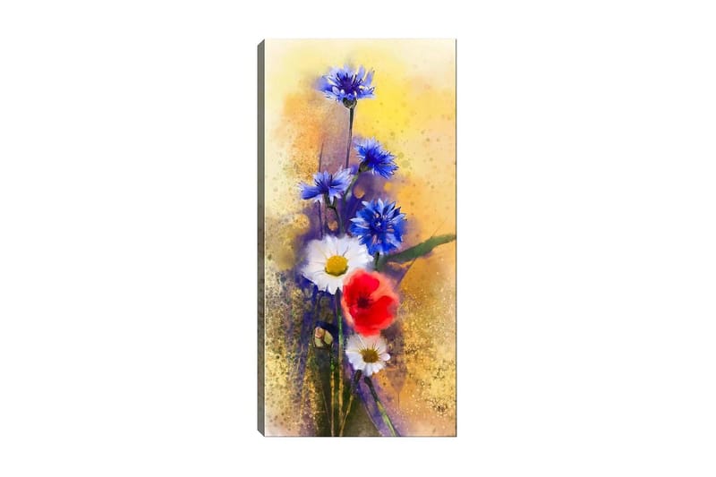 Canvasbilde DKY Floral & Botanical Flerfarget, 50x120 cm